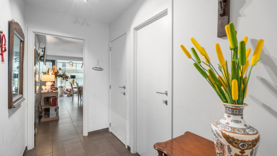 Kerkstraat - 29 - 401 - 8370