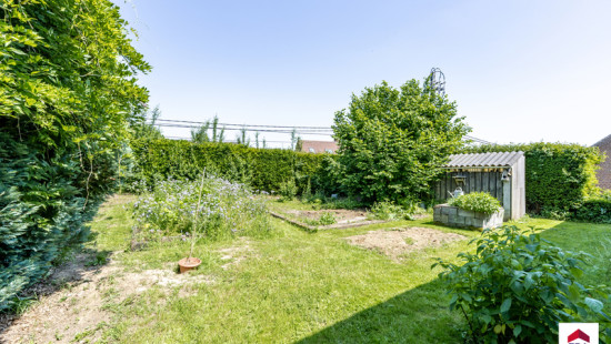 Rue de Coquiane - 61 - - 7850