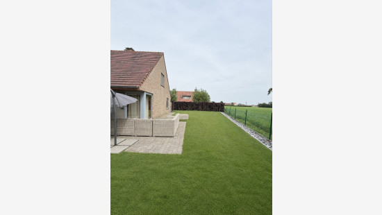 Wilgenhof - 20 - - 8750