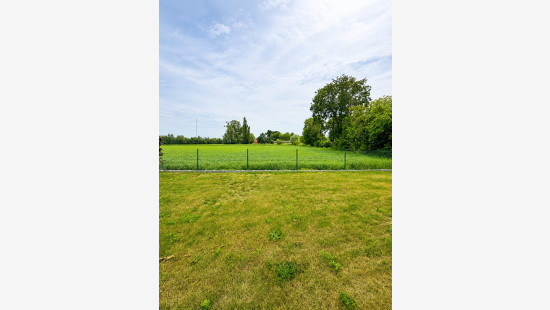 Wilgenhof - 20 - - 8750