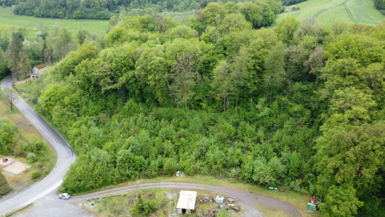 Roue d'Inzemont - B44K - - 5540