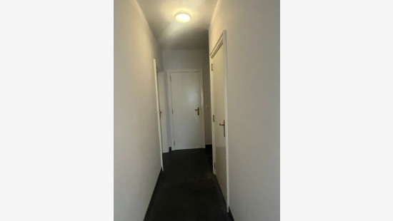 Forestier Ingelramstraat - 17 - 03 - 8530