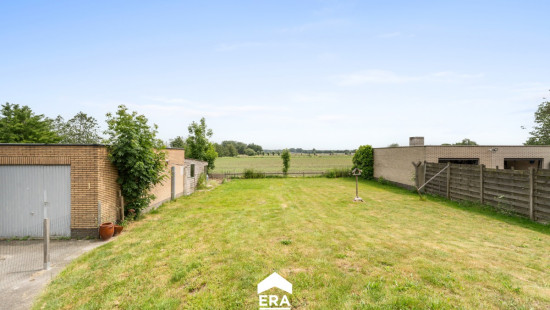Appelboom - 3A - - 9991