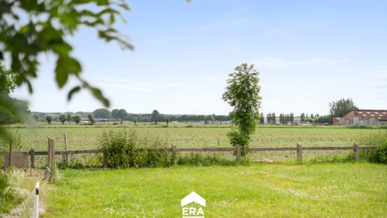 Appelboom - 3A - - 9991