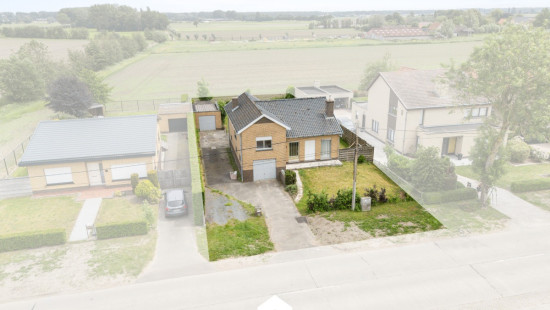Appelboom - 3A - - 9991