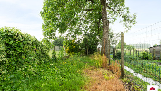 Pedestraat - 107 - - 1602