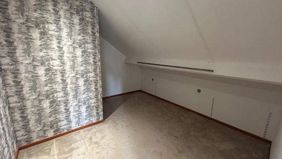 Molenstraat - 81 - - 3910