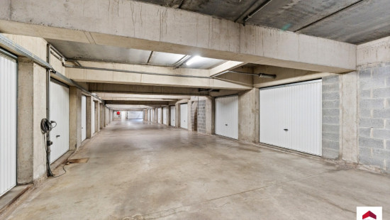 Biezeput - 81 - 22 - 1501