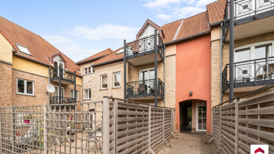 Biezeput - 81 - 22 - 1501