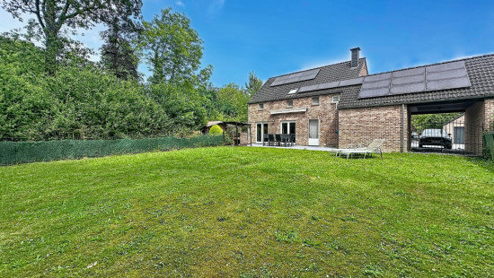 Tige des Saules - 36 - - 4550