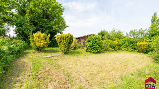 Fayte - 100 - - 9660