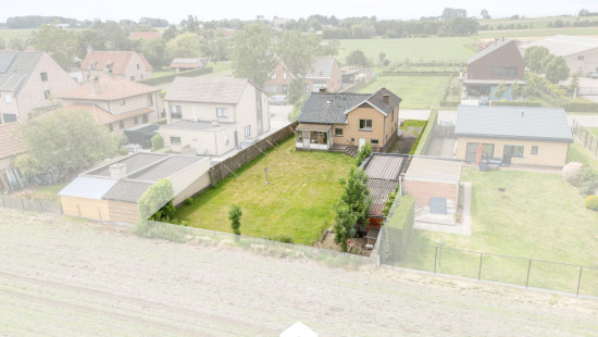 Appelboom - 3A - - 9991