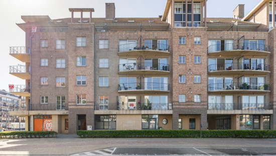 Albert Blieckstraat - 5 - 0103 - 8670