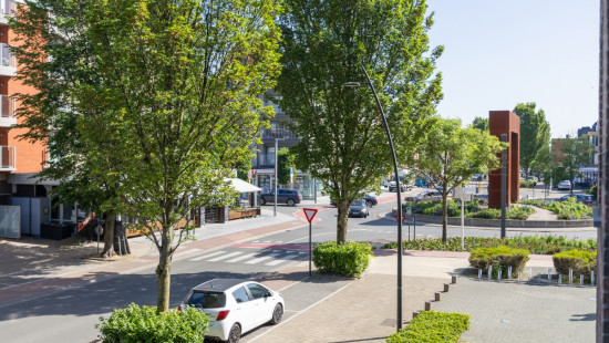 Albert Blieckstraat - 5 - 0103 - 8670