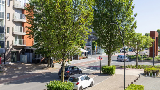 Albert Blieckstraat - 5 - 0103 - 8670