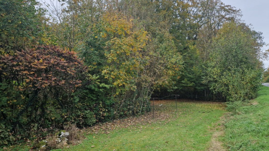 Rue de la Forêt - 76 - - 6821