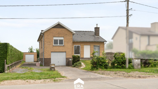 Appelboom - 3A - - 9991