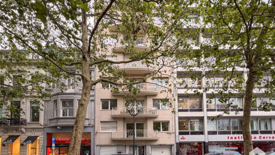 Avenue Louise - 136 - 3 - 1000