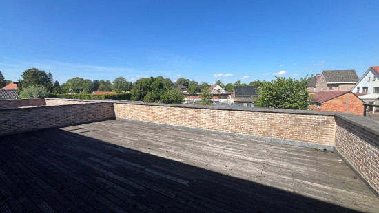 Rozenstraat - 17 - B - 3530
