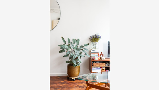 Consciencestraat - 3 - - 2018