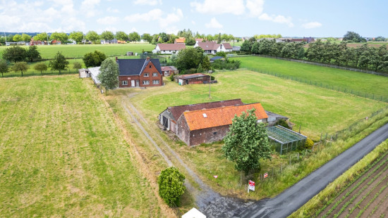 Cauwenteynestraat - 11 - - 8750