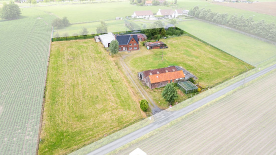 Cauwenteynestraat - 11 - - 8750