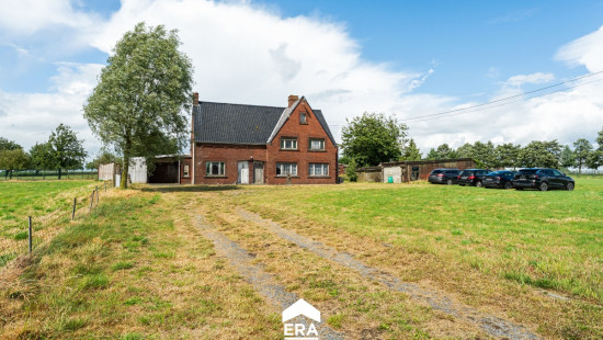 Cauwenteynestraat - 11 - - 8750
