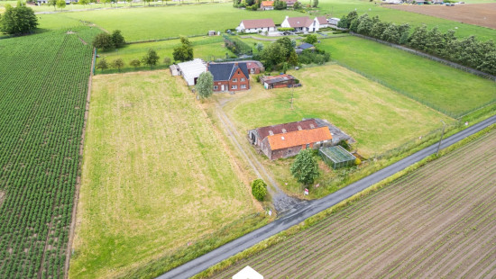 Cauwenteynestraat - 11 - - 8750