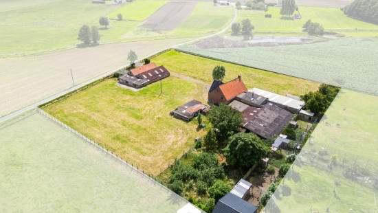 Cauwenteynestraat - 11 - - 8750