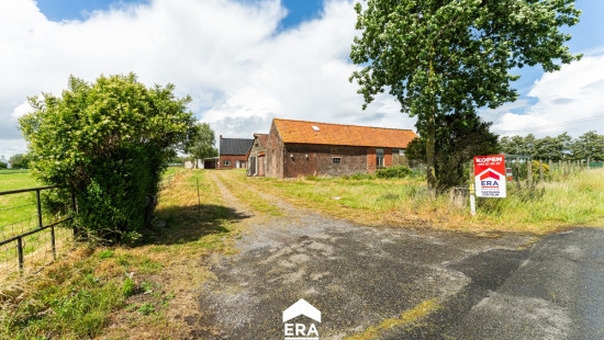 Cauwenteynestraat - 11 - - 8750