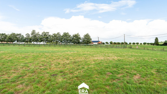 Cauwenteynestraat - 11 - - 8750