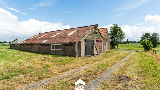 Cauwenteynestraat - 11 - - 8750