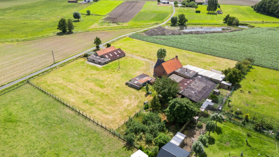 Cauwenteynestraat - 11 - - 8750