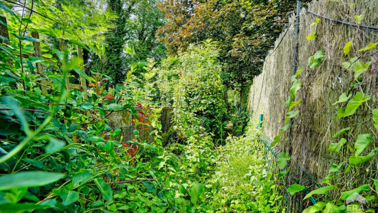 Rue Ernest Deltenre - 79 - - 1495