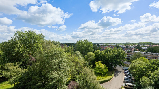 Koningin Fabiolapark - 849 - - 9100
