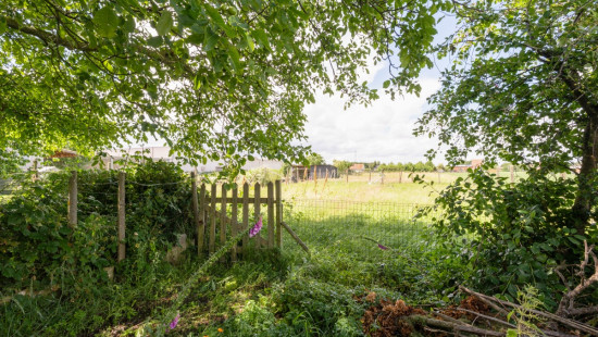 Wakkensesteenweg - 52 - - 8720