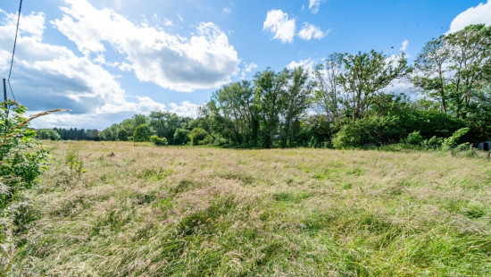 Rue du Bois du Fir - 0 - - 5680