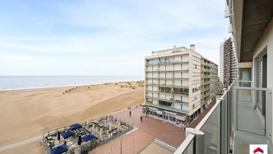 Zeedijk - 487 - 0503 - 8670