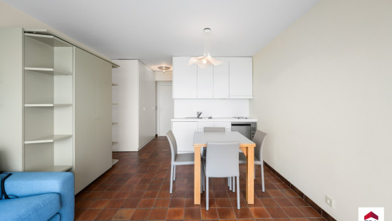 Zeedijk - 487 - 0503 - 8670