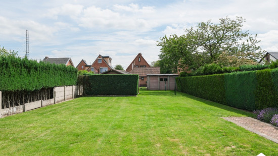 Kievitstraat - 39 - - 3910