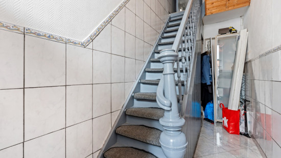 De Bosschaertstraat - 207 - - 2020