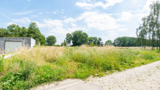 Plesbosstraat - 9 - - 9200