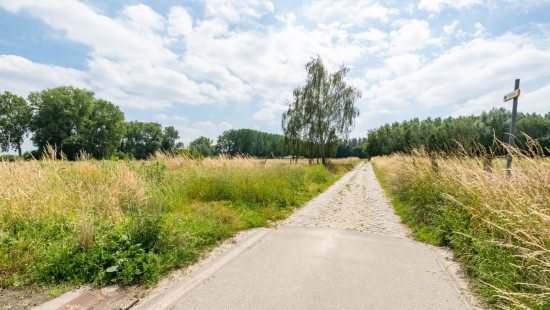 Plesbosstraat - 9 - - 9200