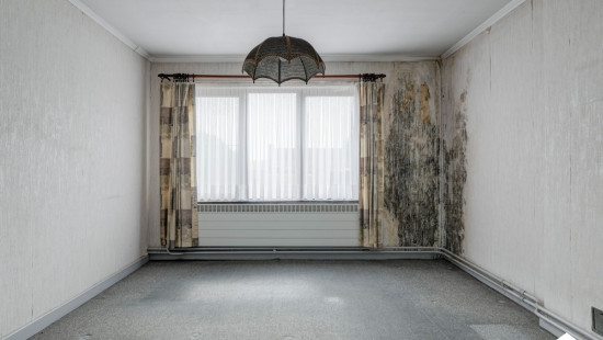 Vijversstraat - 23 - - 3500
