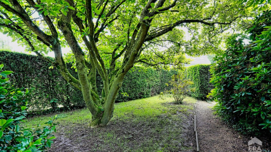 Rue de Virginal - 31 - - 1460