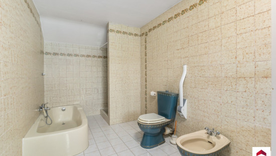 Kespier - 54 - - 1730