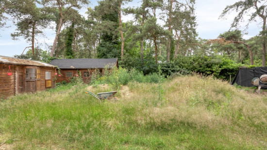 Tremelobaan - 182 - - 3140