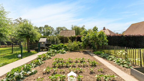 Bruggesteenweg - 56B - - 8755