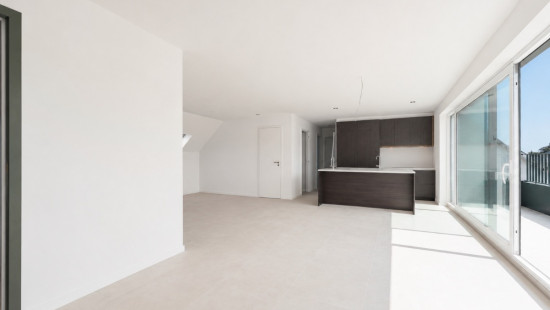Baron Tibbautstraat - 3 - 201 - 9290