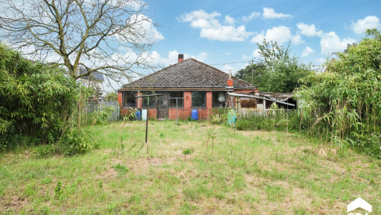 Grashoek - 4 - - 3900